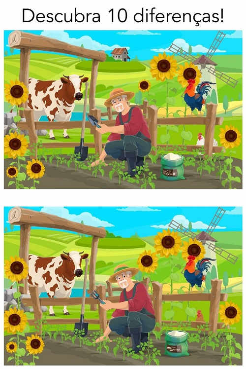 Descubra as 10 diferenças entre as imagens da fazenda
